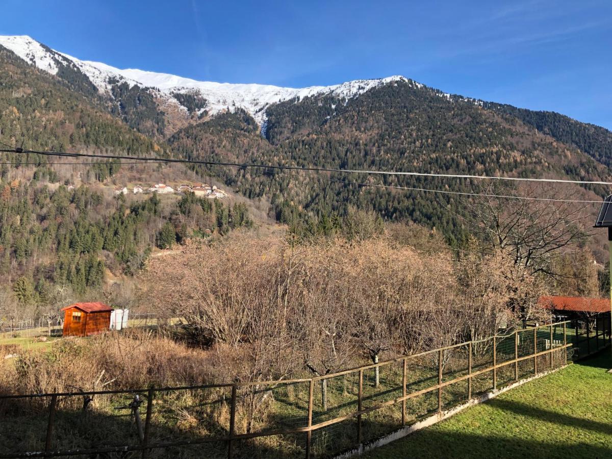 Mountain House Hotel Rigolato Luaran gambar